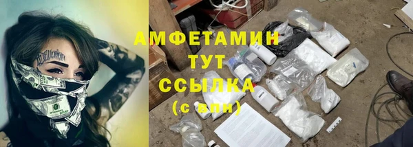 тгк Нея